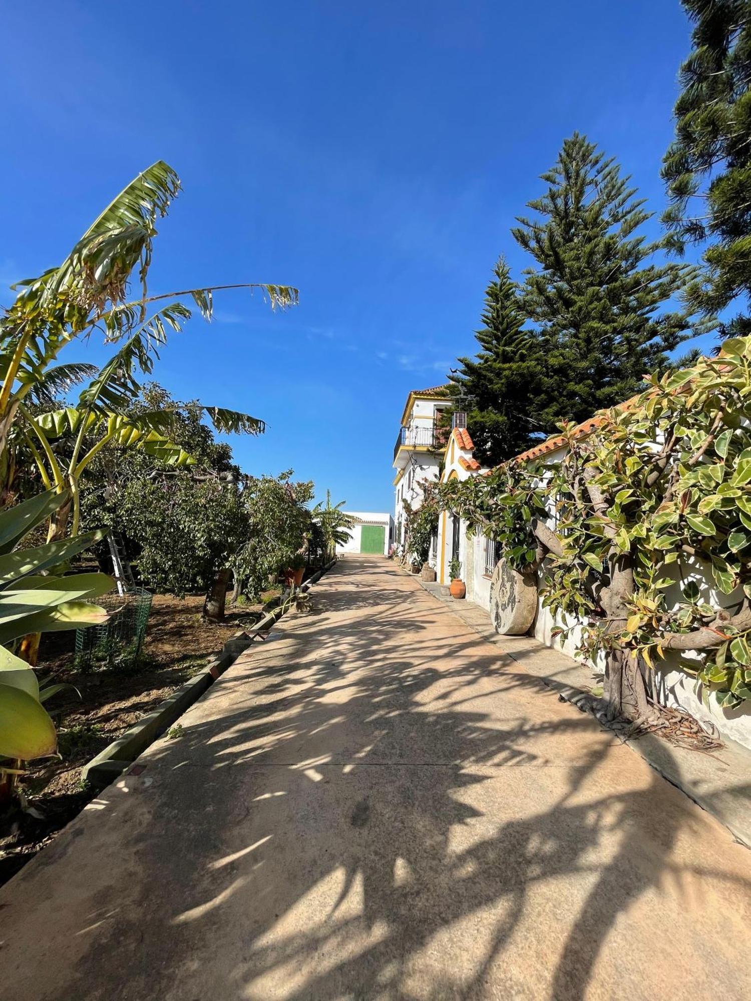 Finca La Tacita - Petunia Конил-де-ла-Фронтера Екстериор снимка
